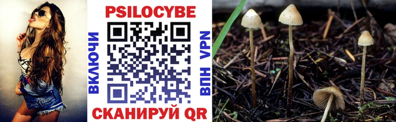 Псилоцибиновые грибы ЛСД  как найти закладки  Балабаново 